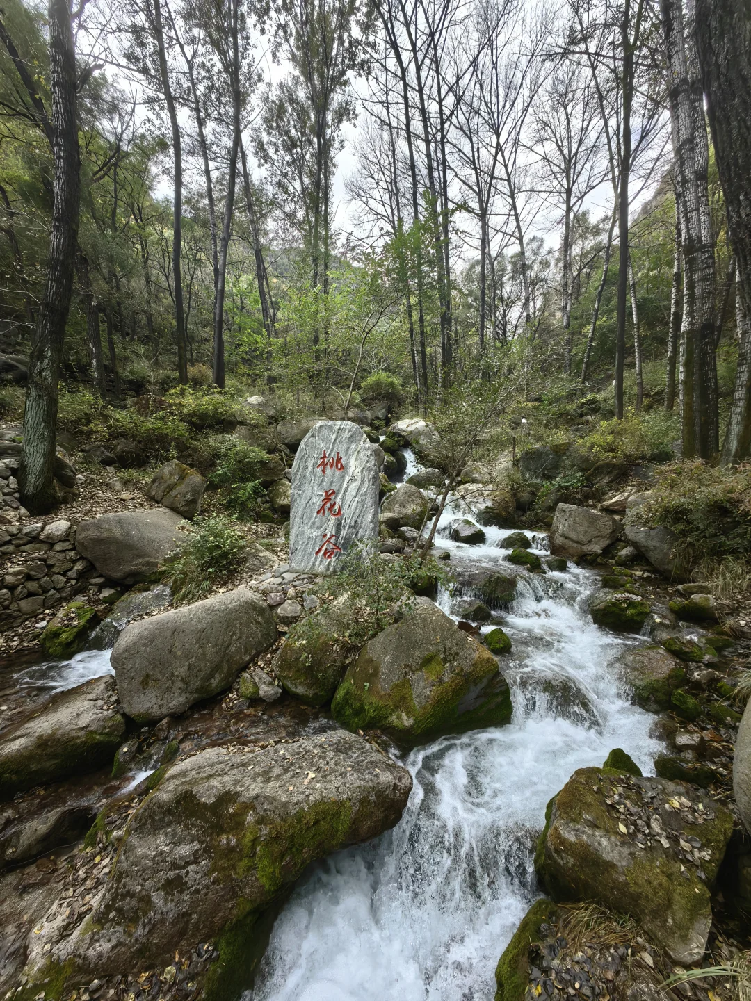十一最冷清的4A级景区