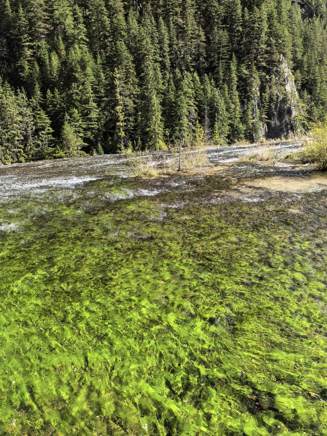 人间仙境名不虚传