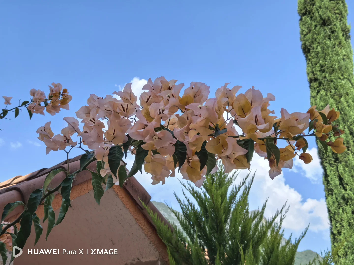 🇲🇽Tolantongo|墨西哥宝藏天然温泉♨️