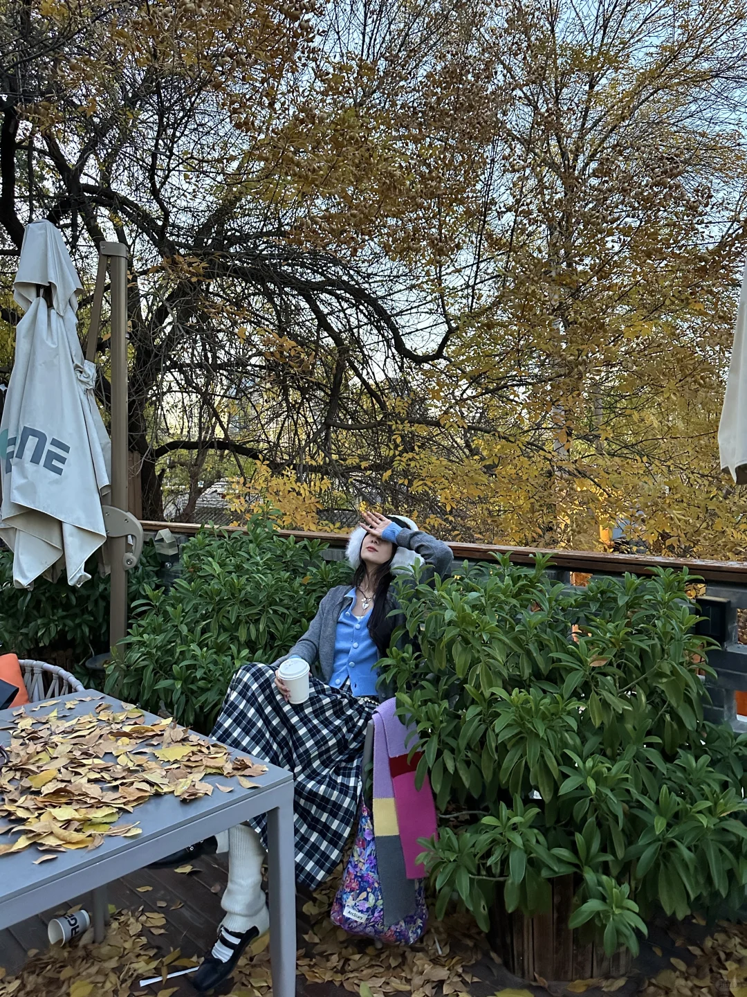 北平18图～🍂🍁 附位置📍