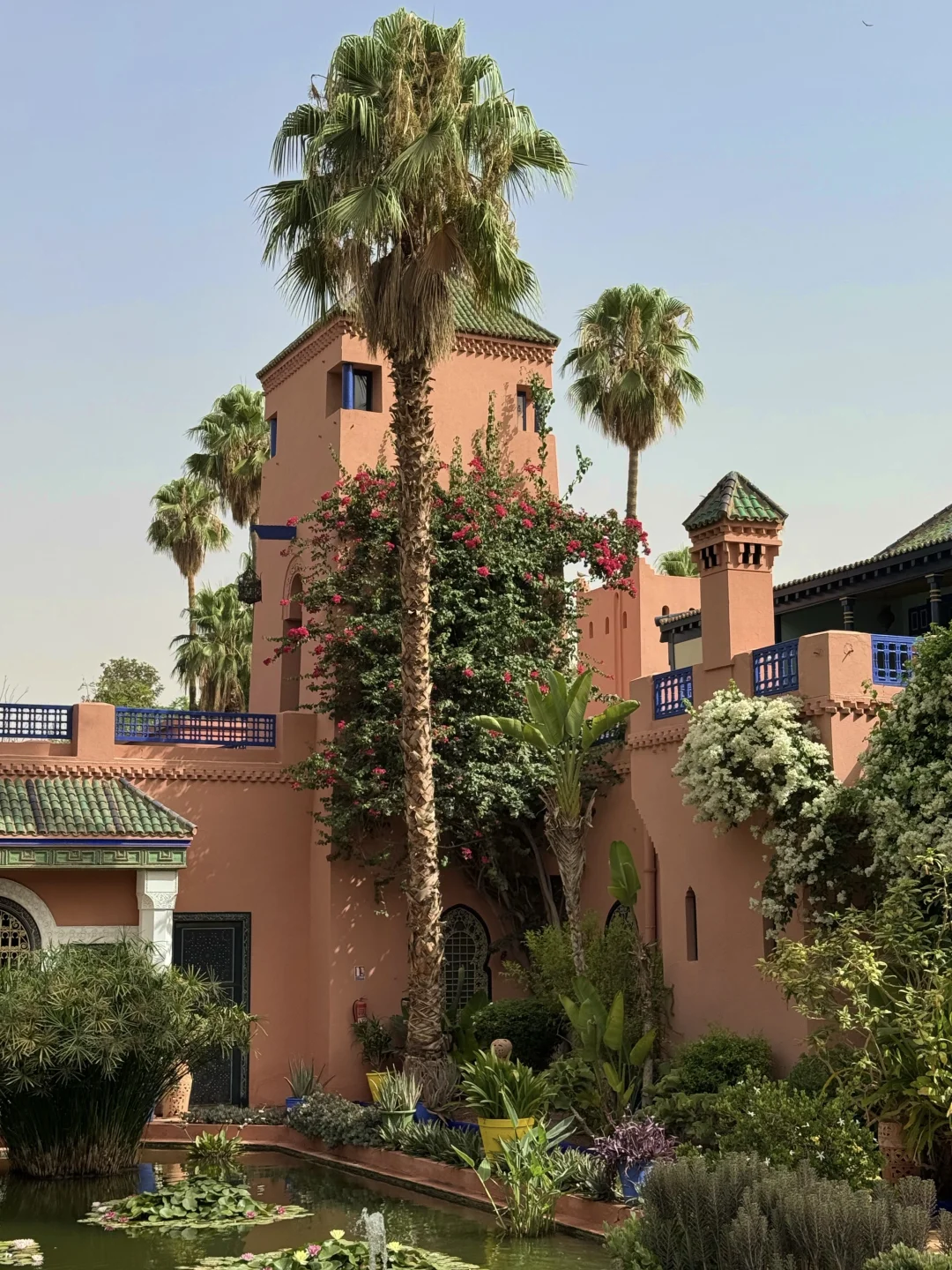 摩洛哥在我心里超过欧洲