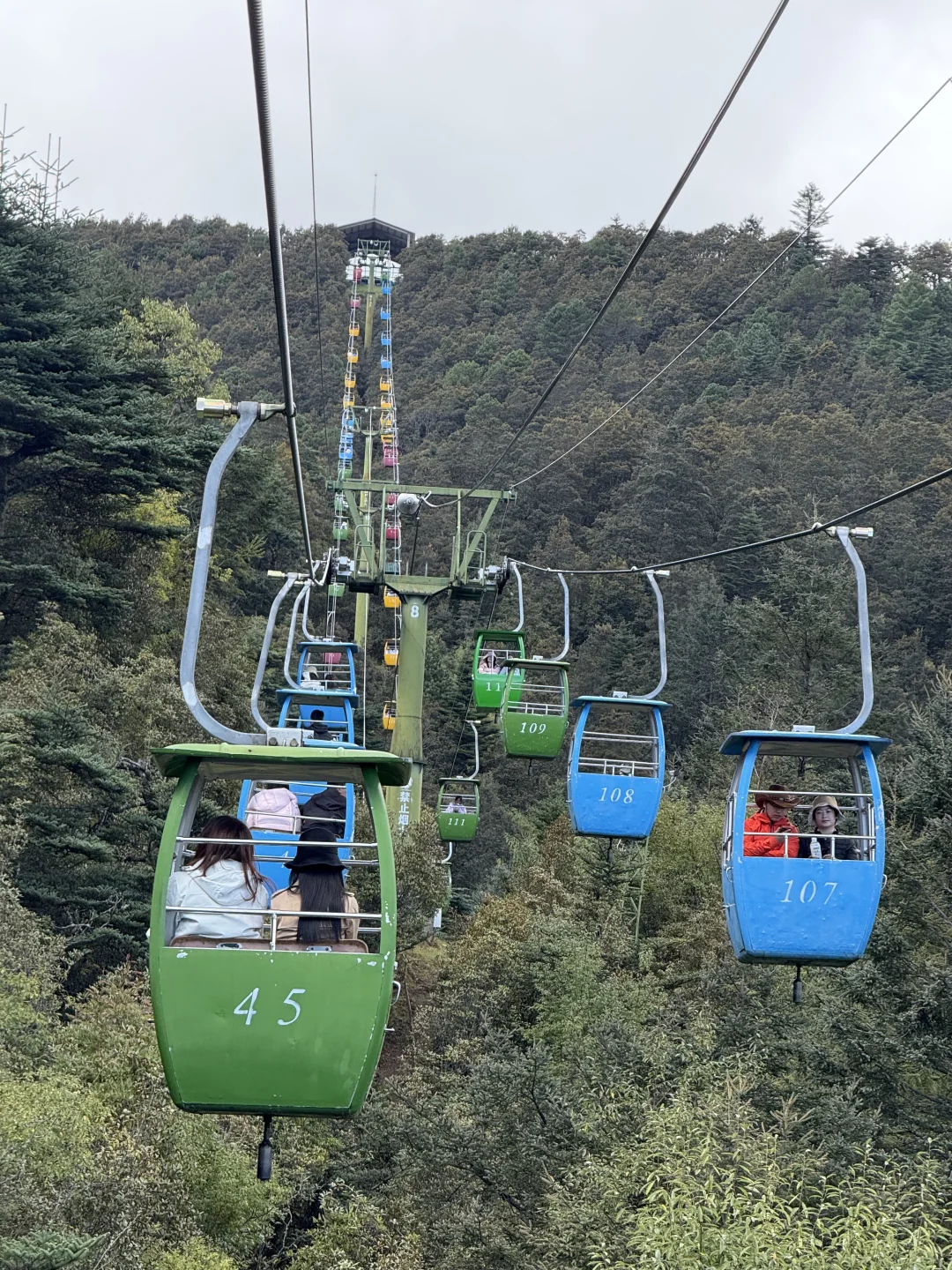 玉龙雪山去牦牛坪还是云杉坪，看这篇就够了