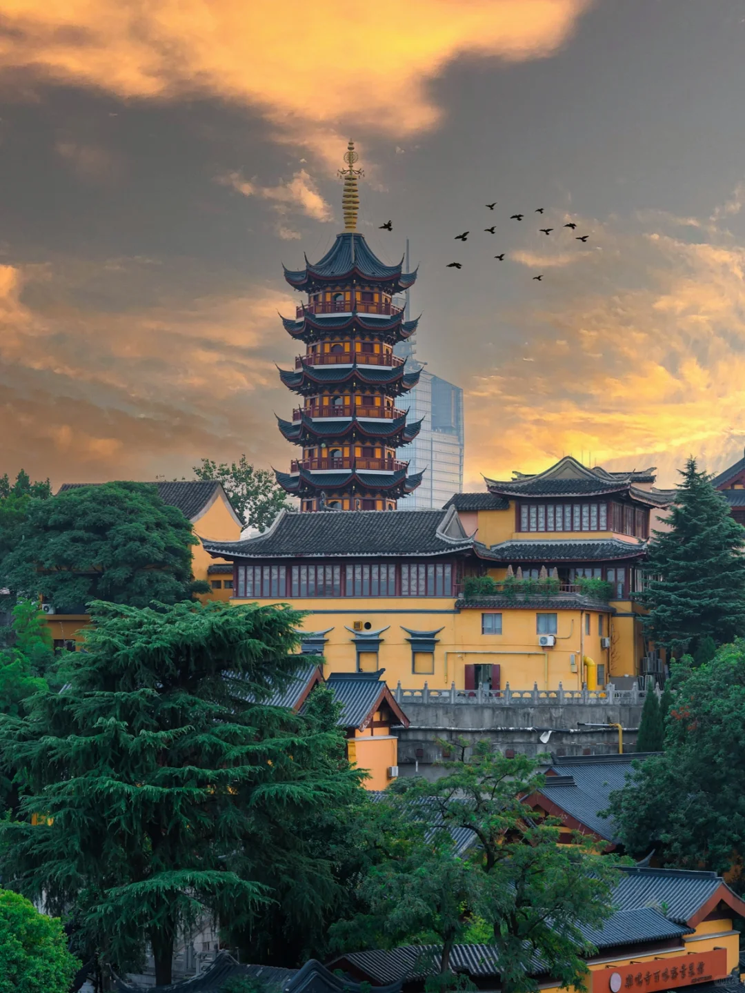 为了这1️⃣2️⃣张图，我专程去了趟南京！