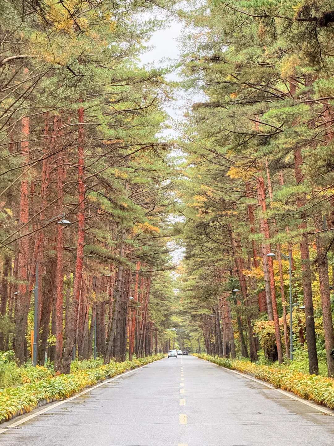 📍长白山｜二道白河 秋色正浓～