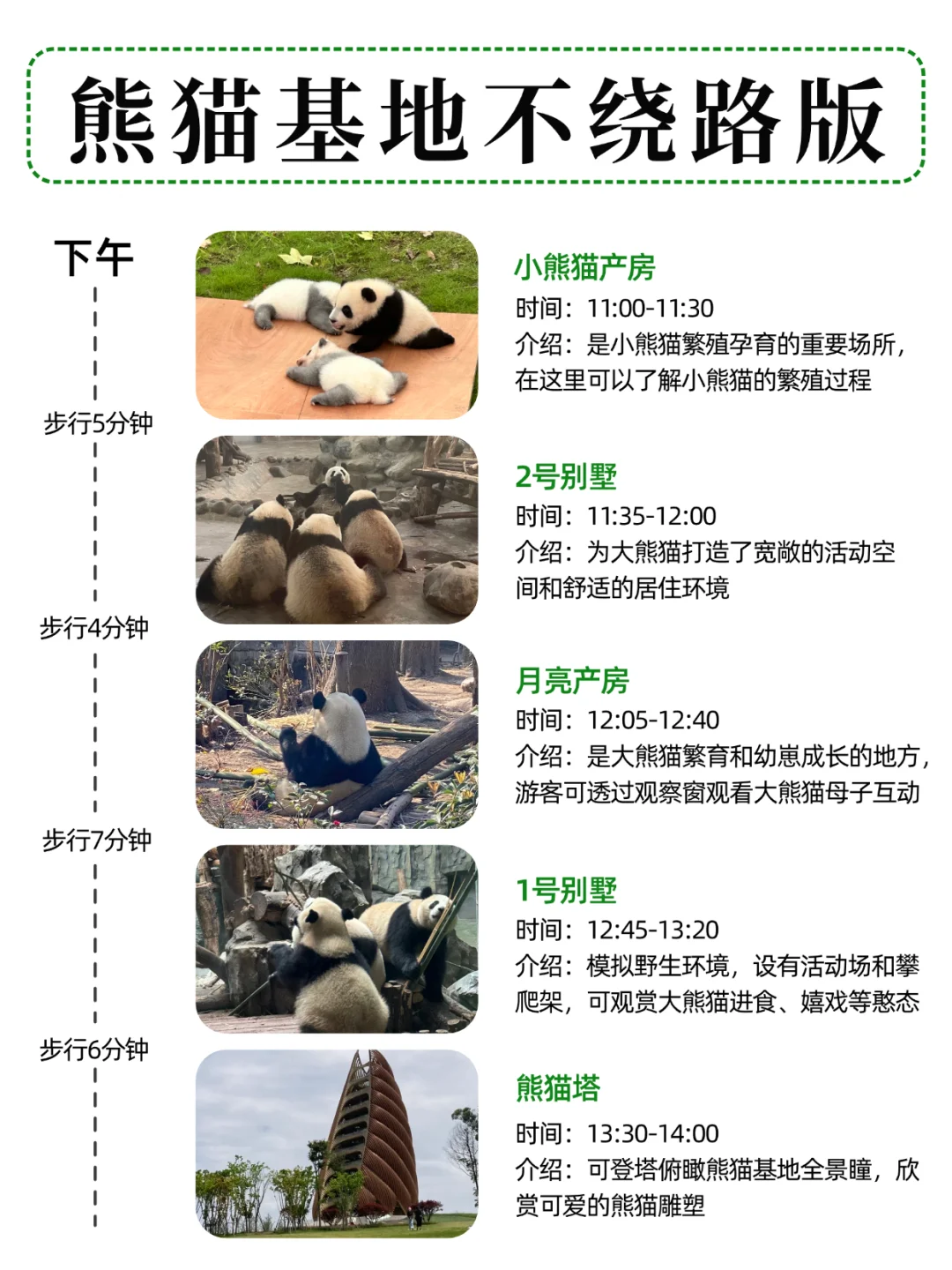 被自己手写的熊猫基地攻略满意得睡不着...