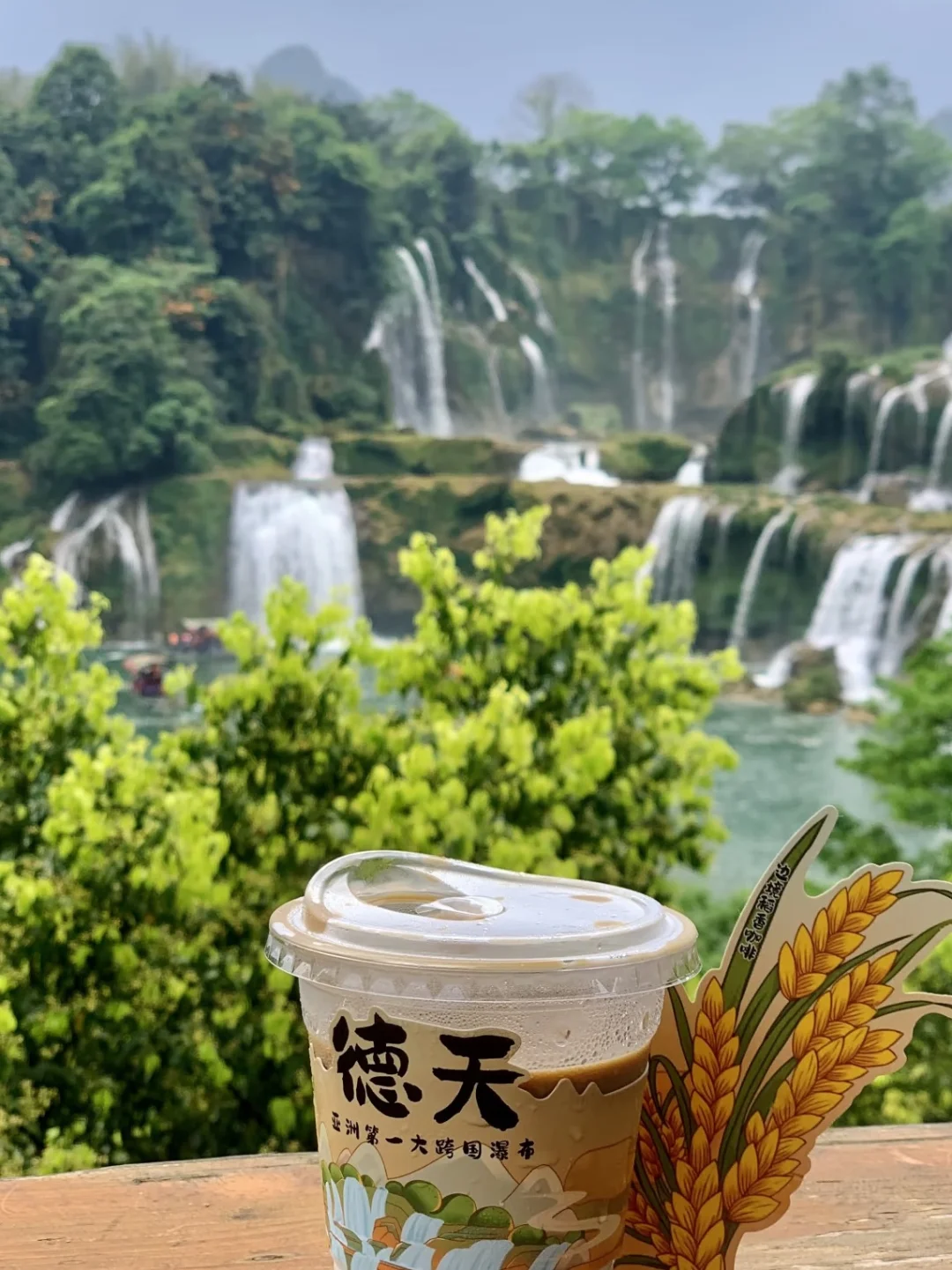 放弃三亚了，带娃去22℃的涠洲岛追鲸鱼啦~