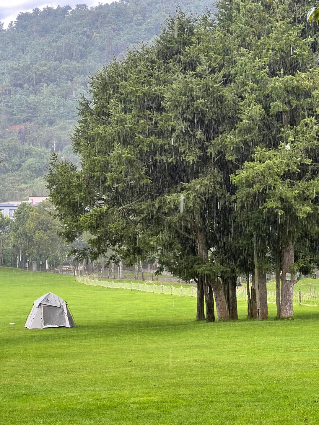 昆明40分钟,好像出国了一样,美哭了😭😭