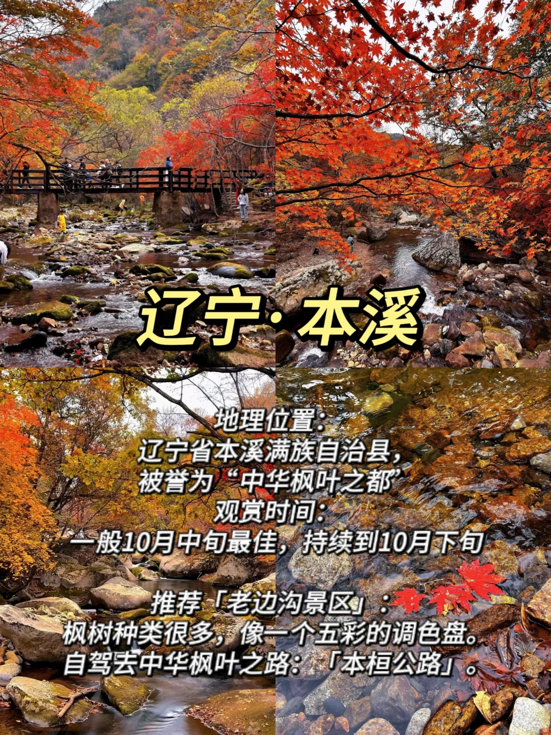 ✨适合11月赏秋的10个城市大合集🍁-