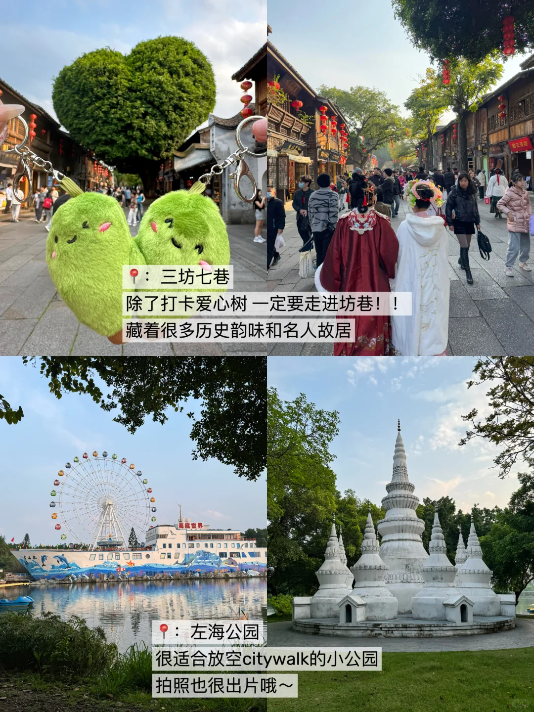 福州已回！！我的建议是。。。
