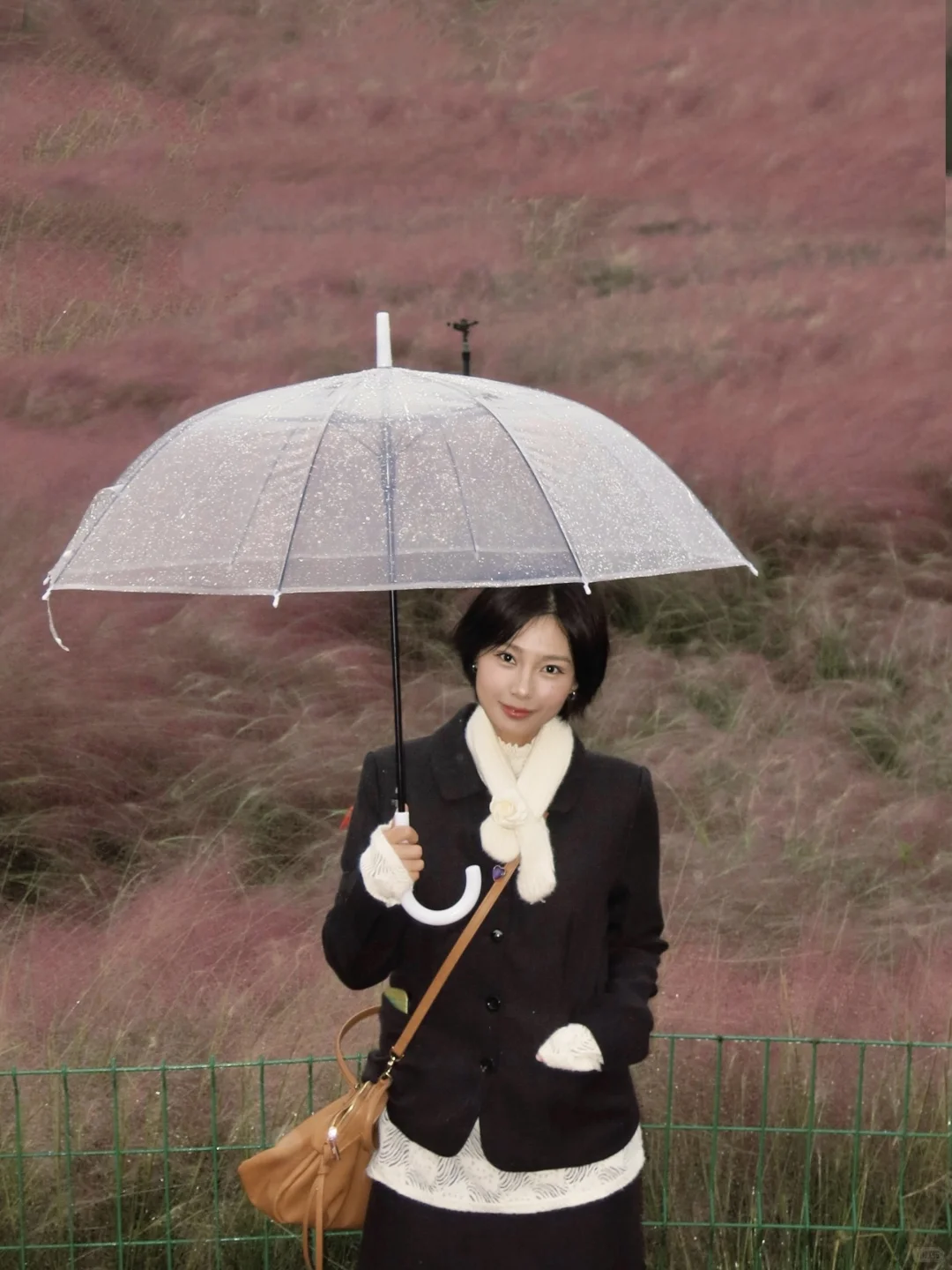 千万不要错过邯郸粉黛❗阴天都美到犯规❗❗