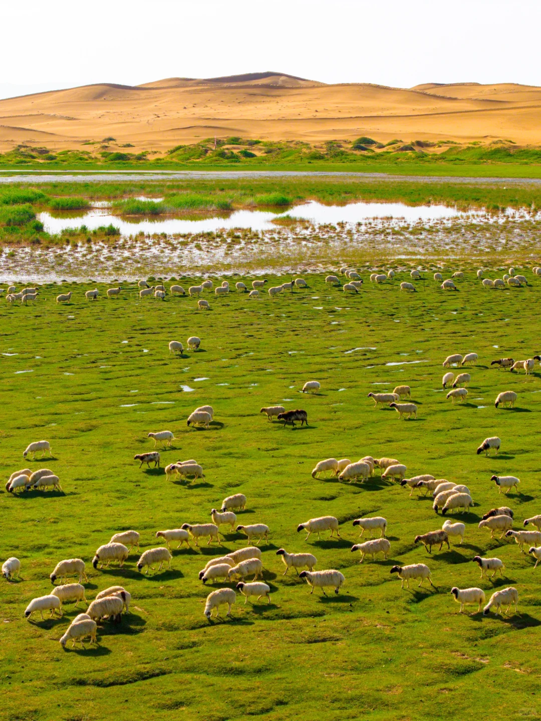 我很少用“震撼”形容一个地方……