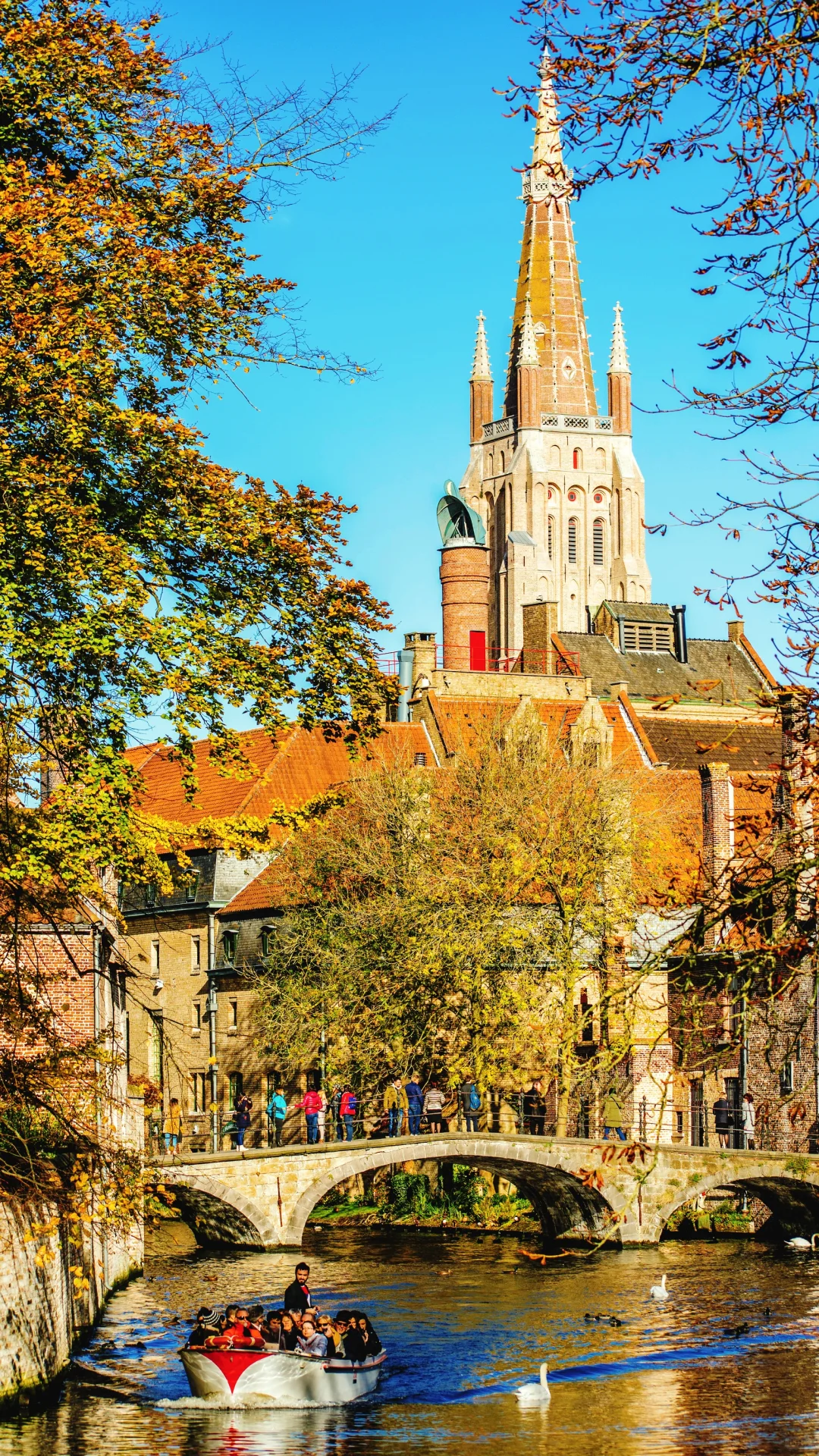 用满屏照片打开秋天的期待🍁🌰🧋…