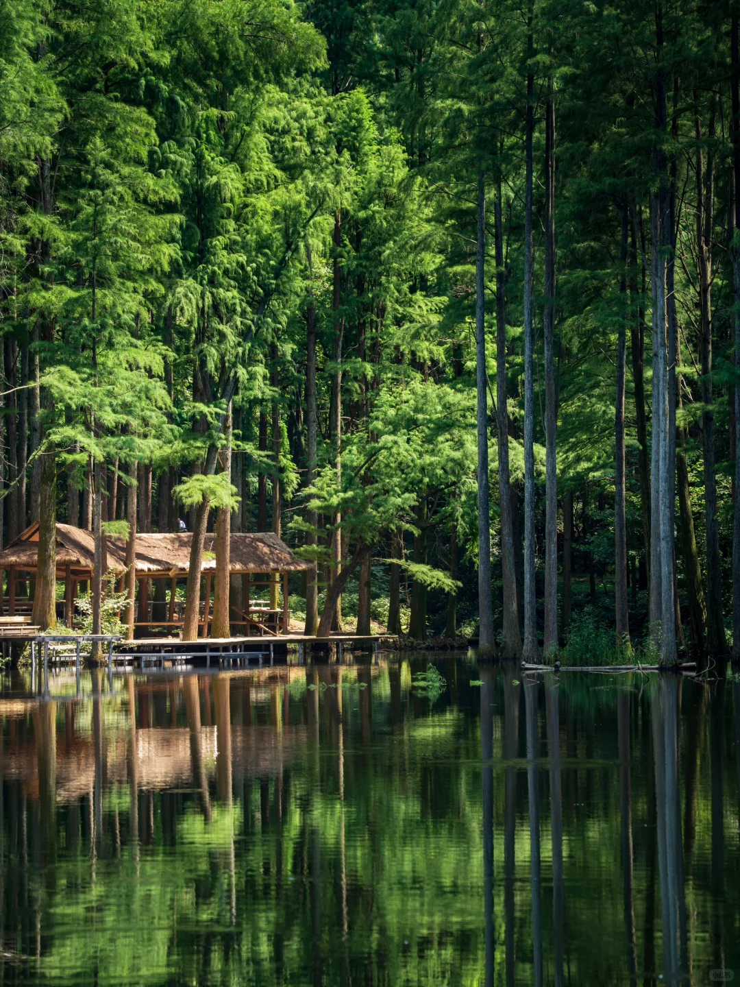 河南真正的绿野仙踪🌲好治愈