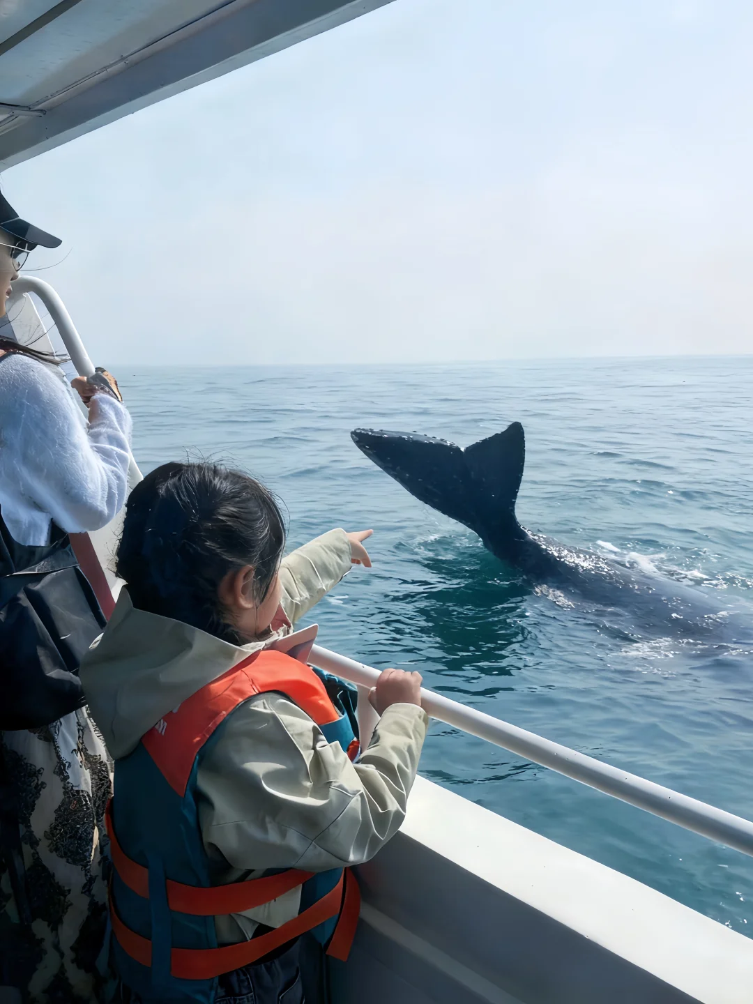 放弃三亚了，带娃去22℃的涠洲岛追鲸鱼啦~