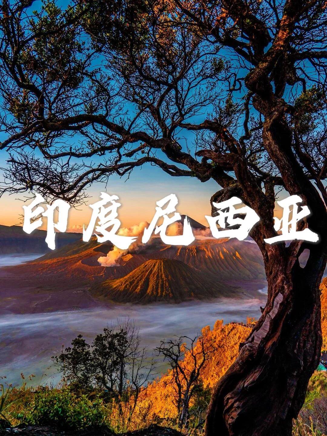预算5K💰|这➒个低消国家❗️别错过👍🏻超值❗️
