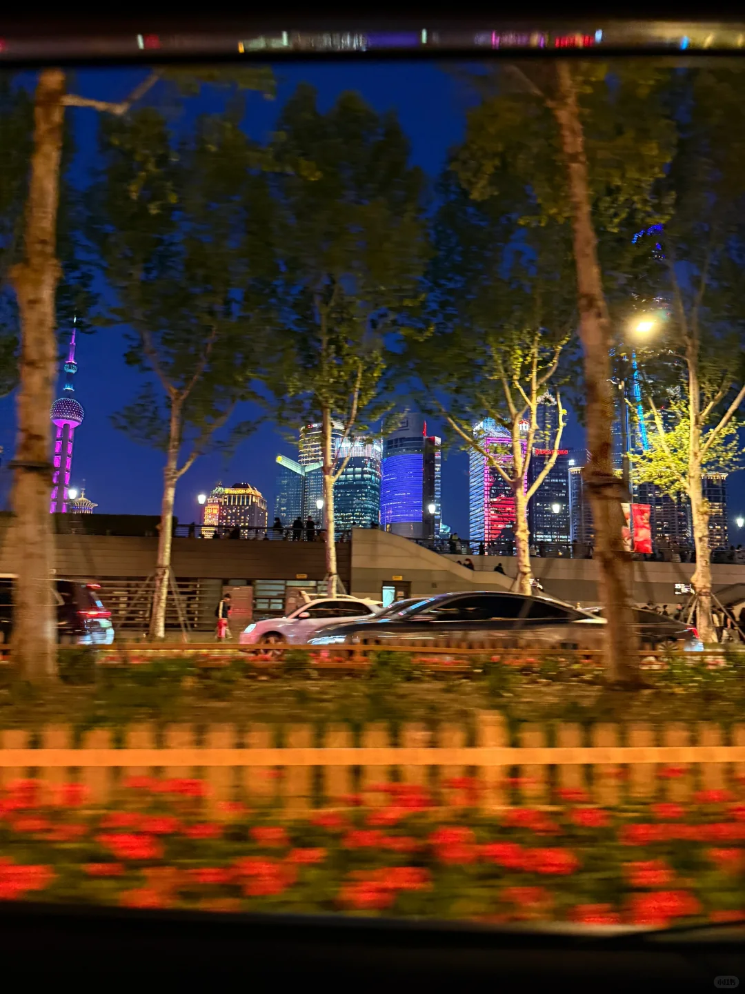 你失约的上海，我替你看了🏙️