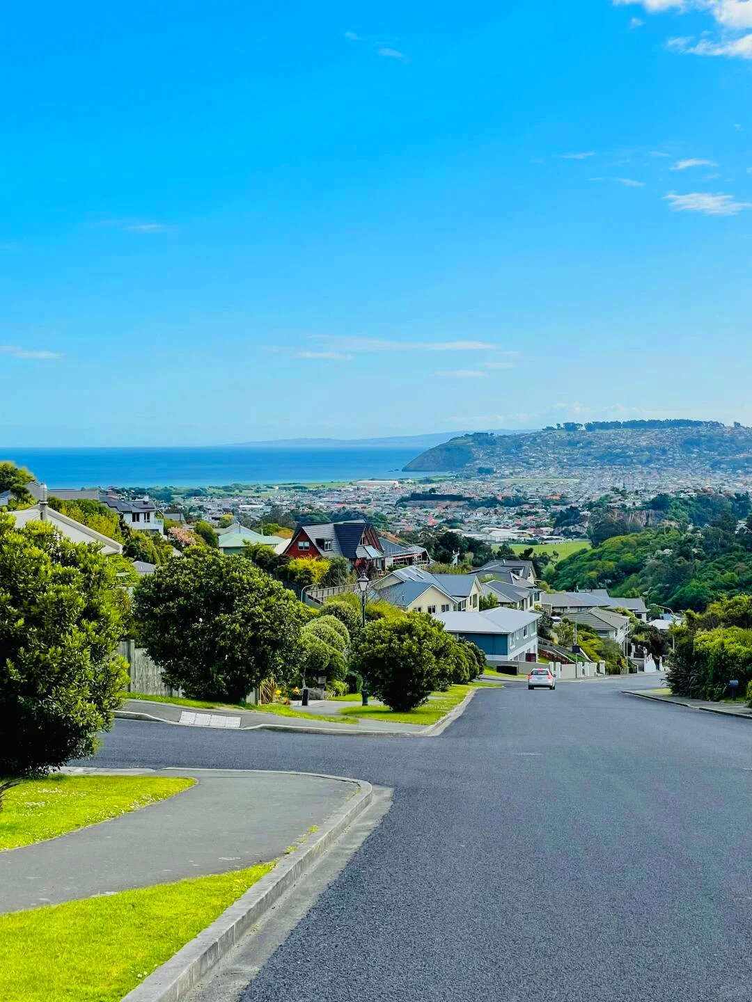 害怕被拒签，选择跟团去新西兰旅游，结果…