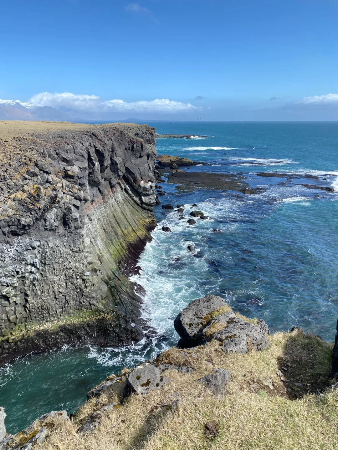 🇮🇸live图的意义在此刻具像化