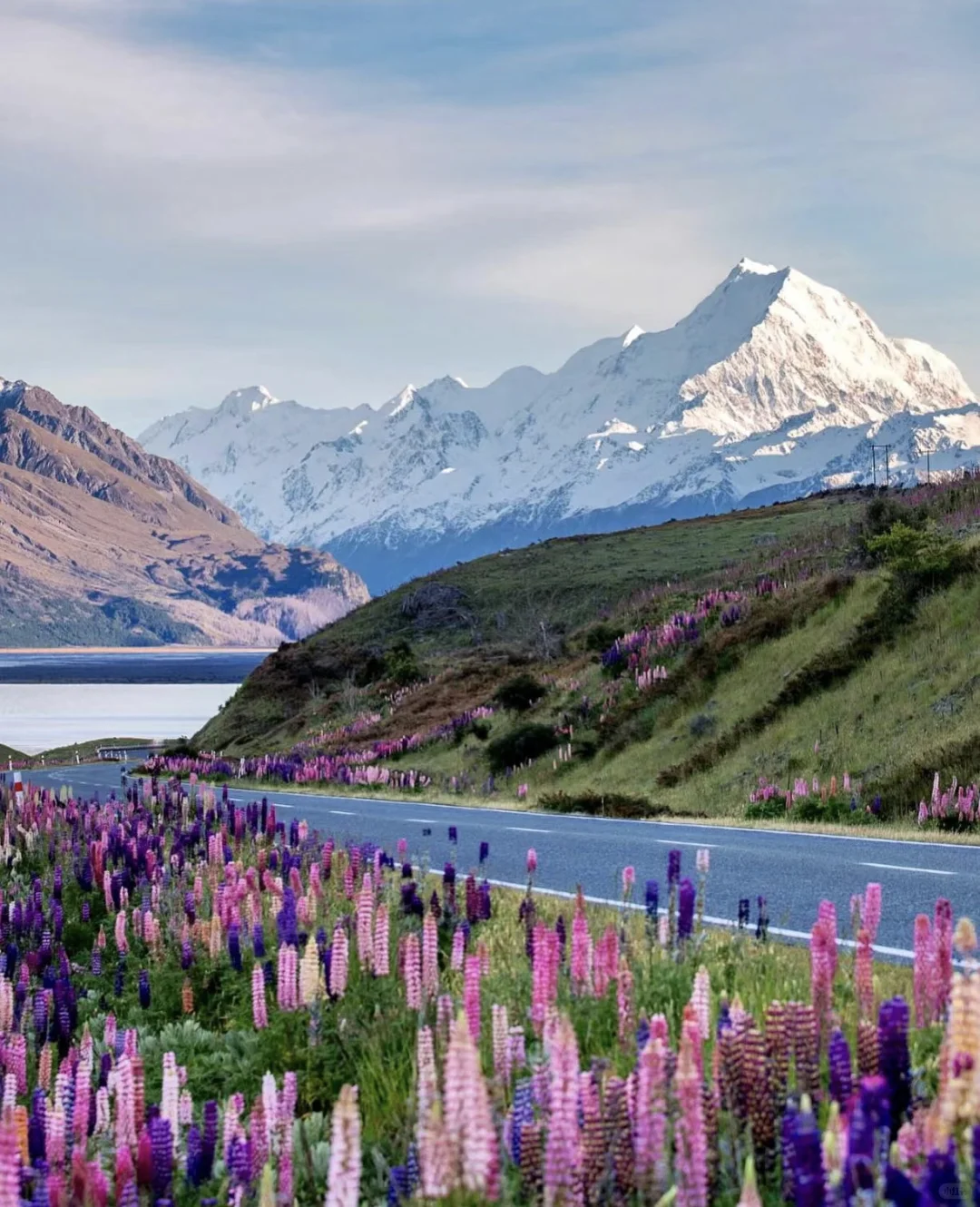 新手第一次出国可以选择的国家推荐😀