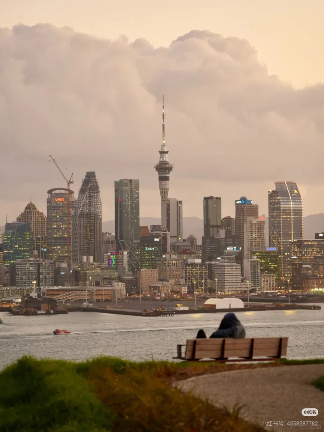 不开车也能去！奥克兰必去6大宝藏景点