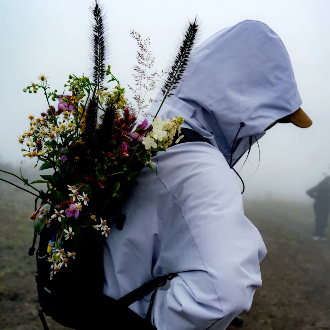 🌧️ 雨天螺丝壳才是真·仙境！