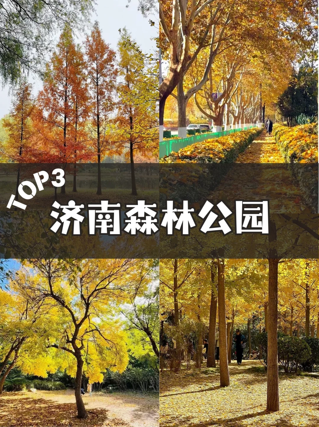 🍂济南秋天必去的 5 个绝美景点！错过等一