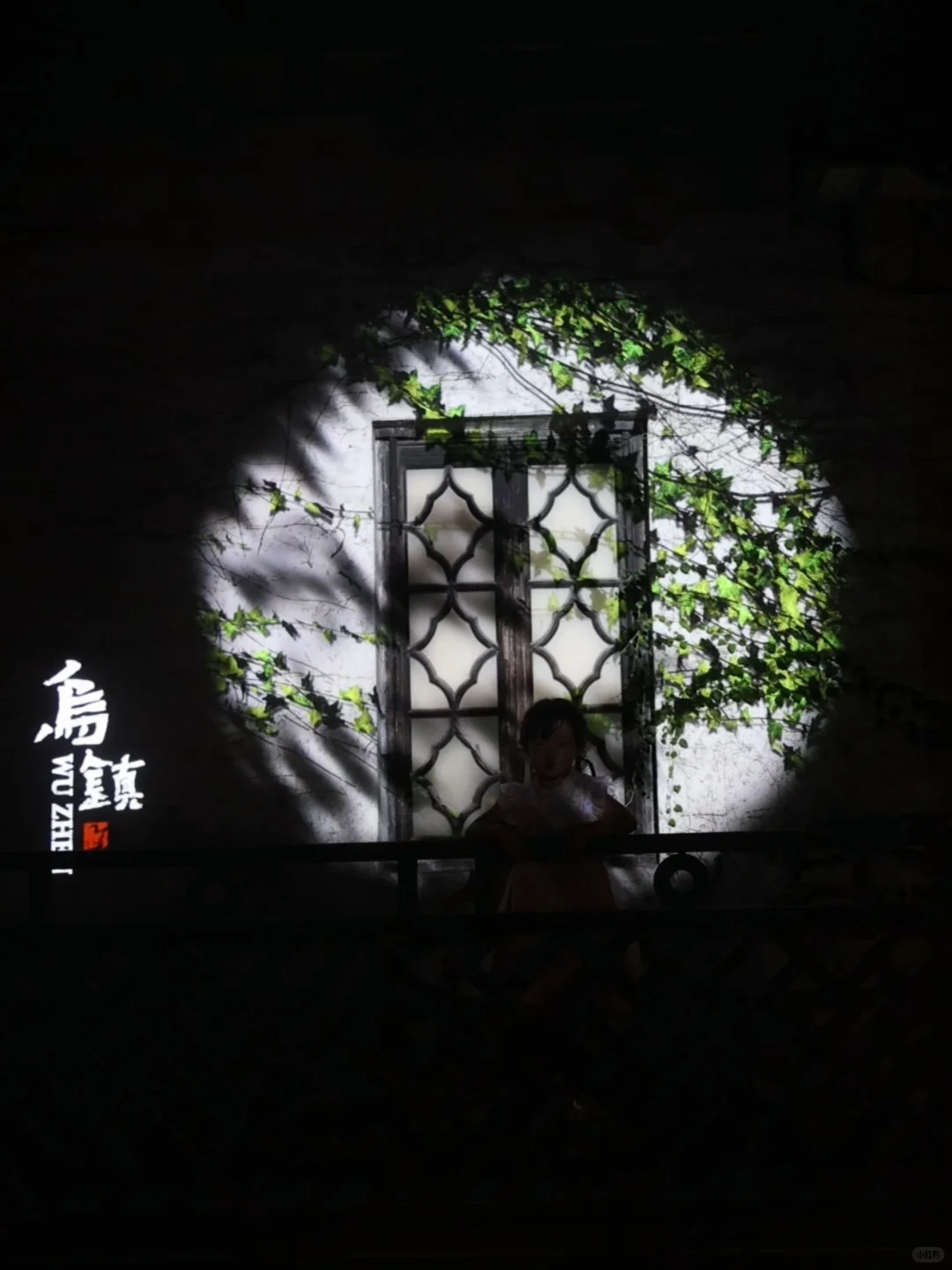 跟着《向往的生活》夜游乌镇❗照抄这条路线