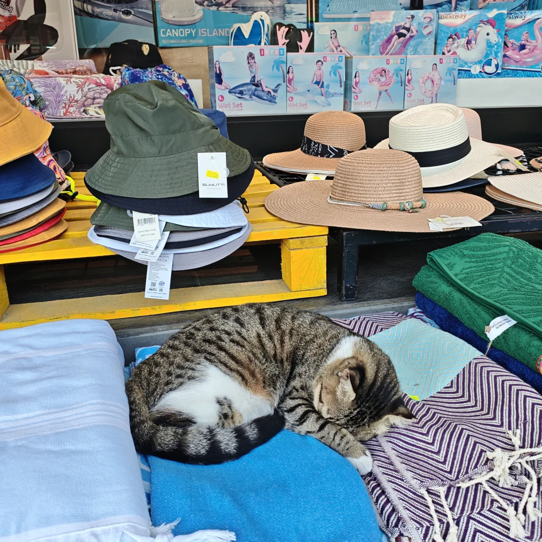 国外城市评价之🇹🇷安塔利亚