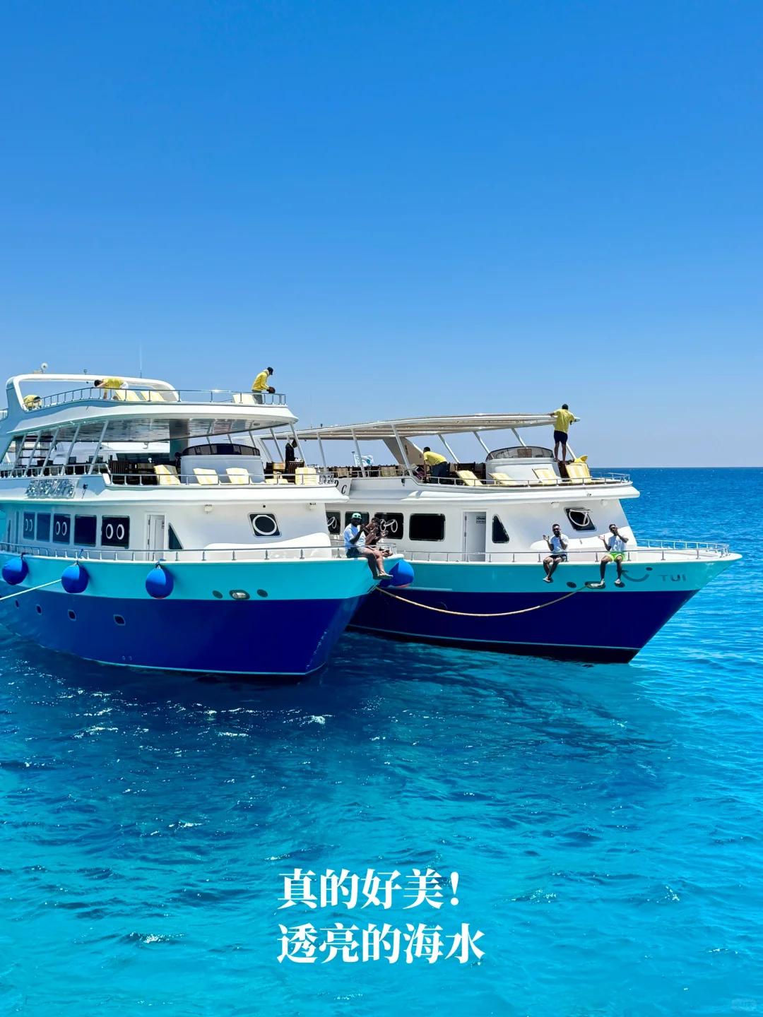 长大真好 可以在小时候课本里的埃及旅居