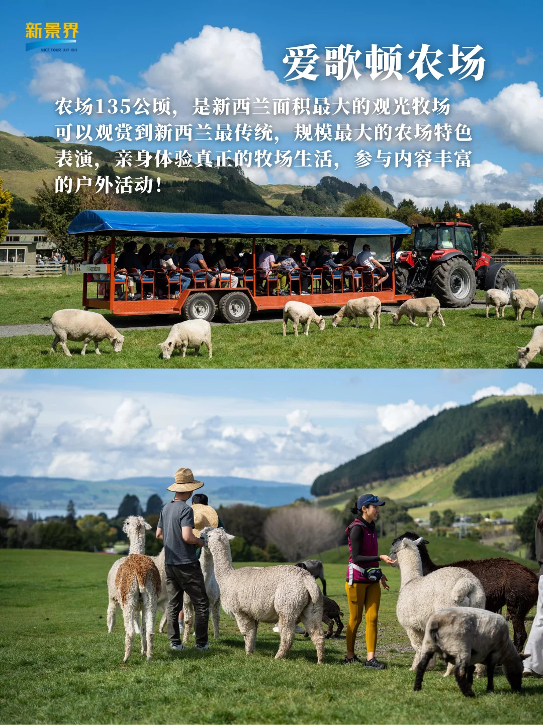 🌍新西兰北岛必打卡,准备好出发了吗?✨