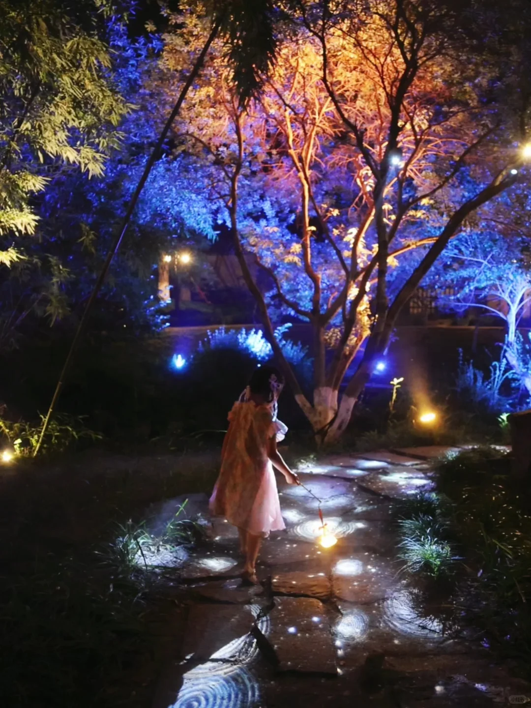 跟着《向往的生活》夜游乌镇❗照抄这条路线