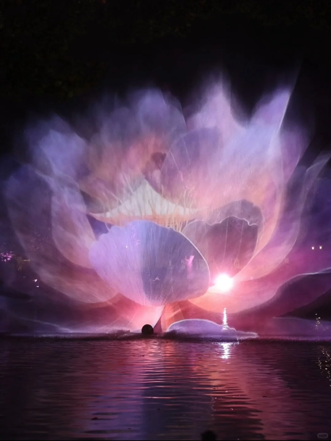 跟着《向往的生活》夜游乌镇❗照抄这条路线