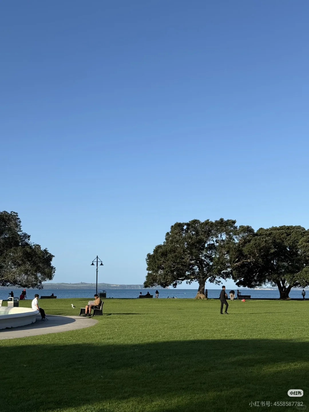 不开车也能去！奥克兰必去6大宝藏景点