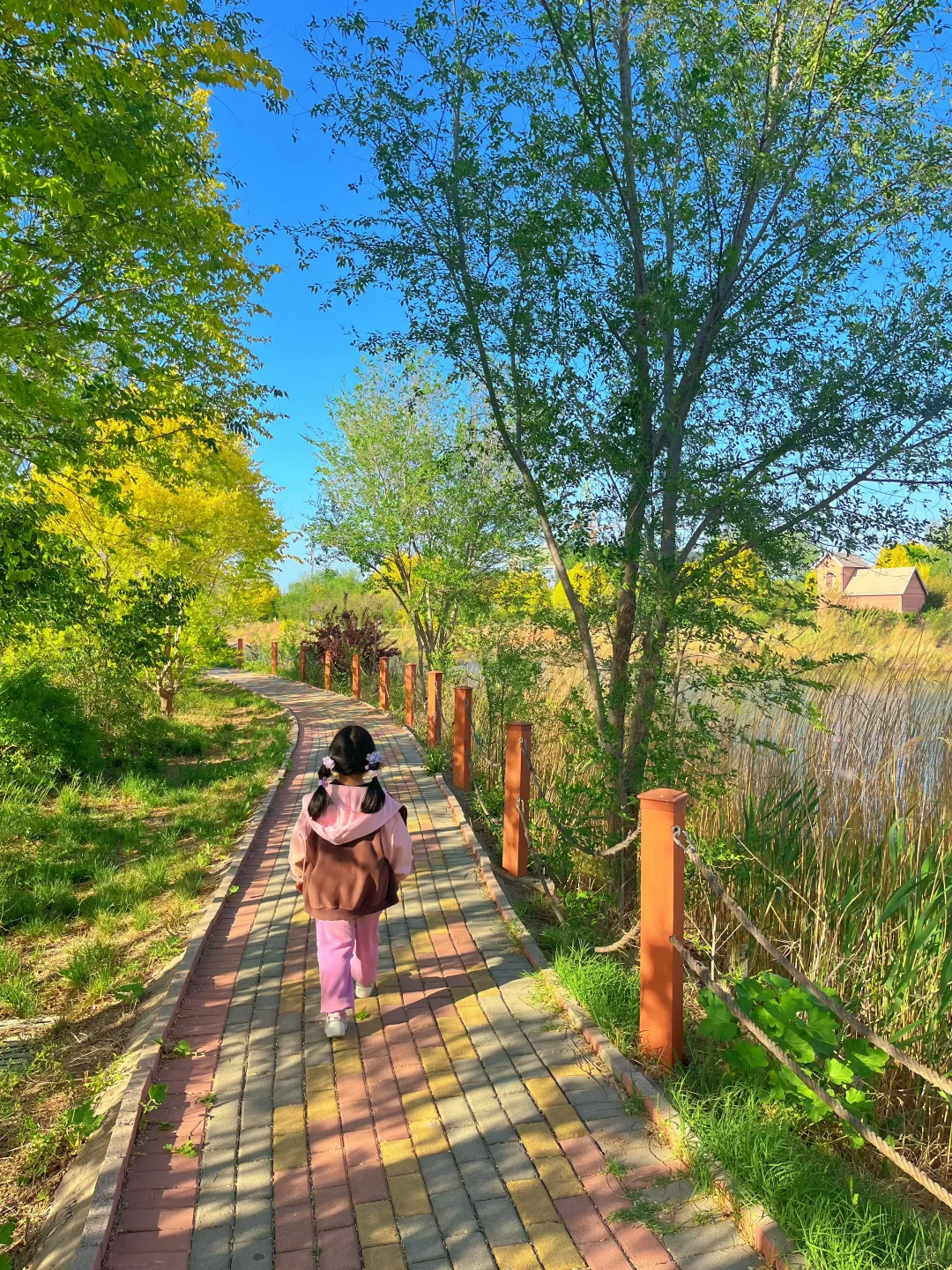 每周一公园免费版❗青岛适合亲子的40个公园