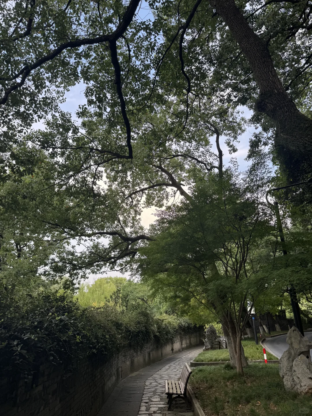 我会为了这里再去一次绍兴,超惬意