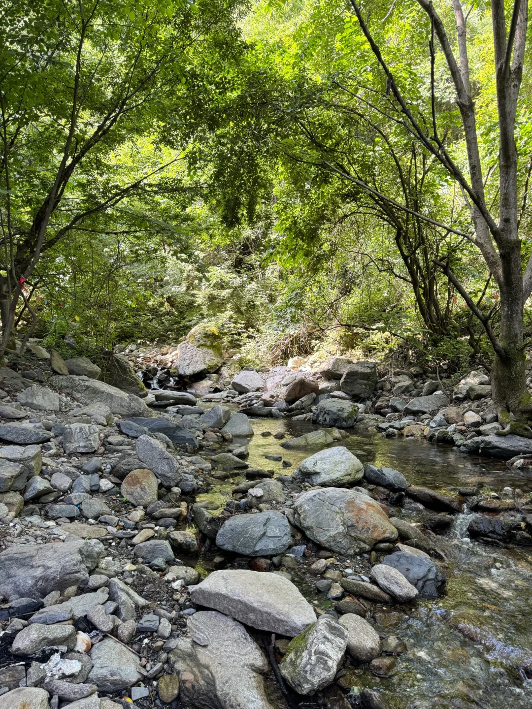 被山林包围的小溪流！太绝了！