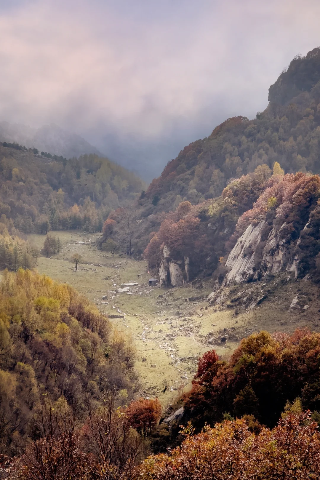 不是大兴安岭，是石家庄！