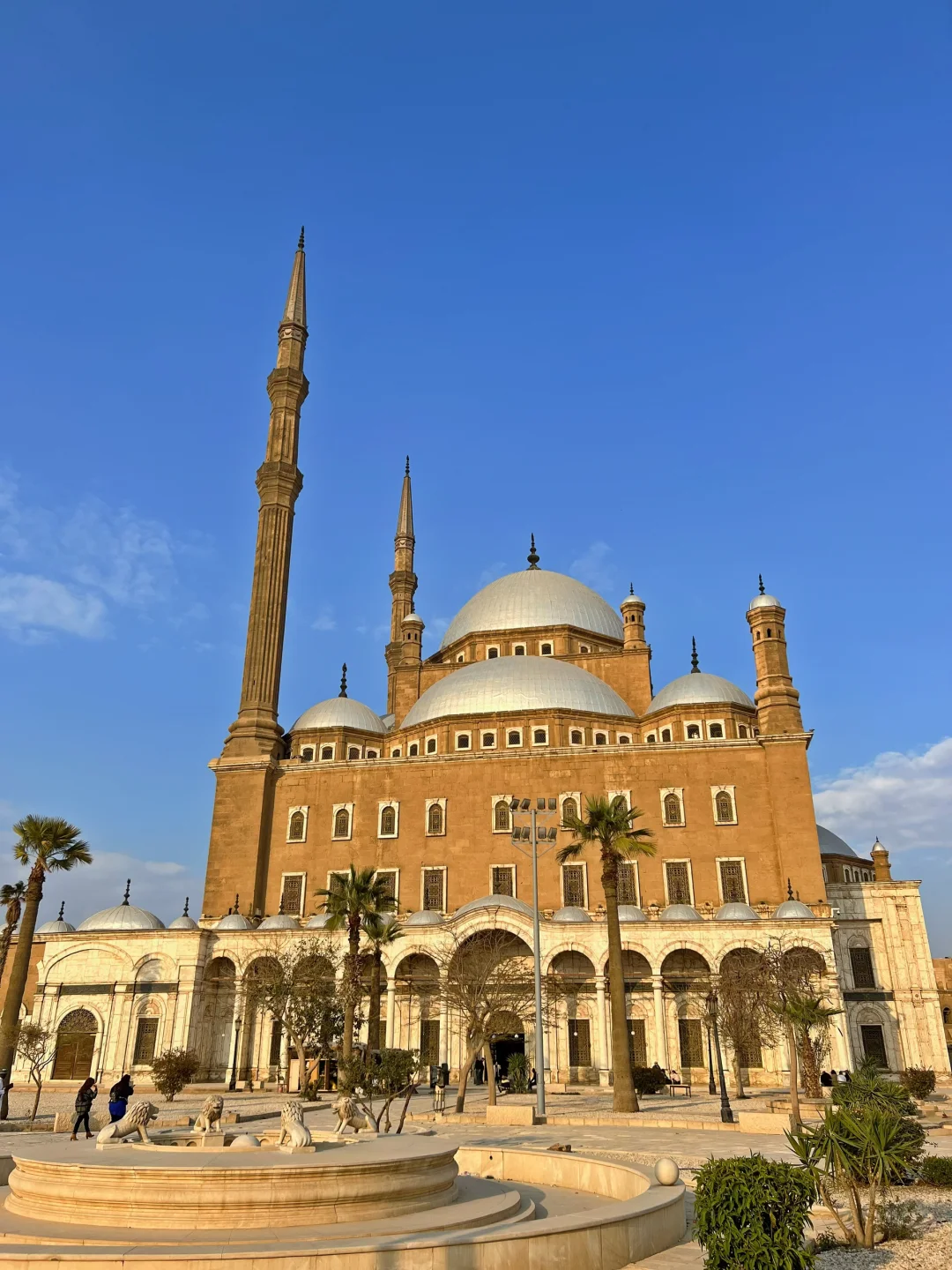 不劝退!去了5次埃及,我来告诉你真实的埃及