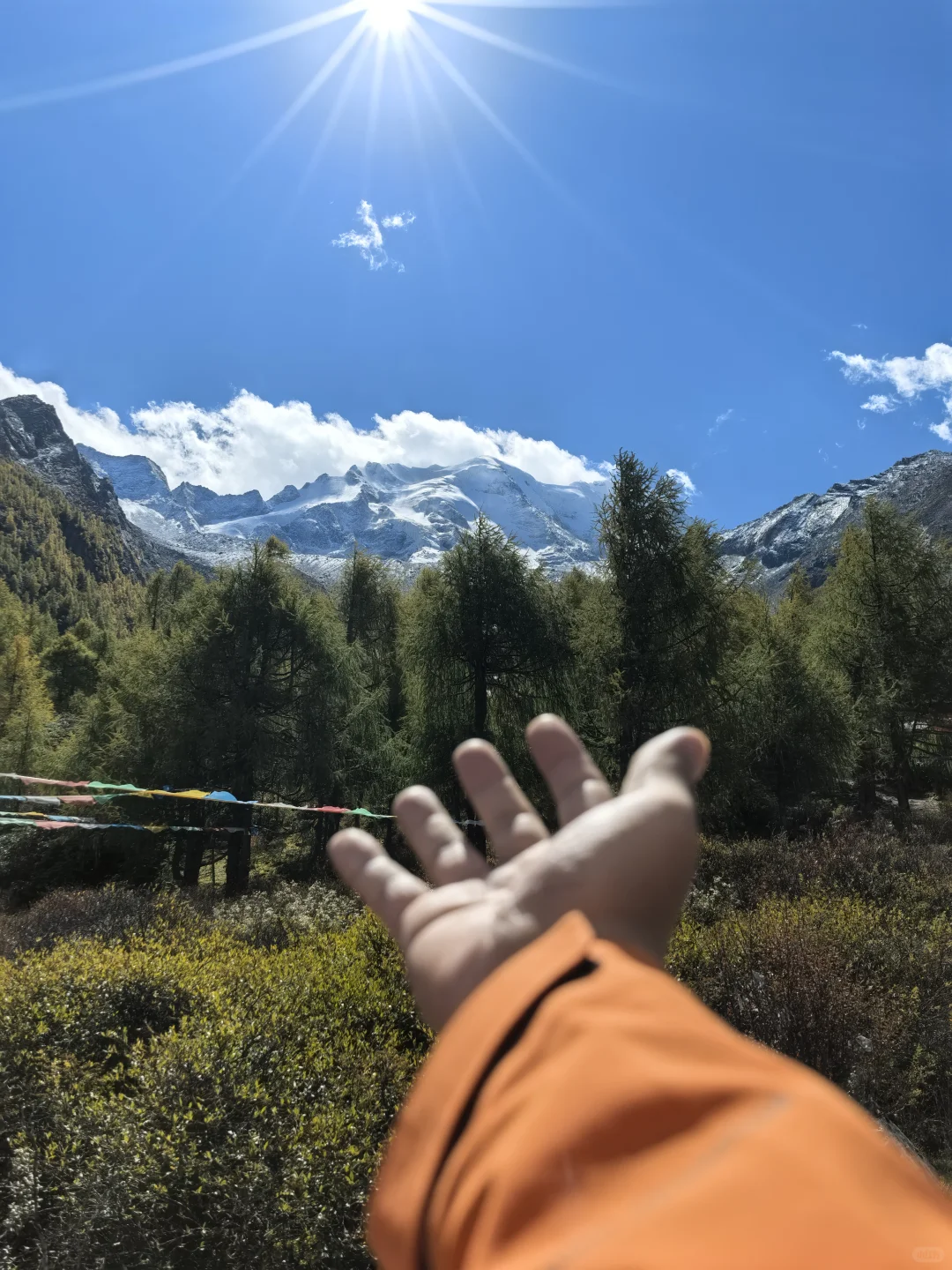 你们猜这是哪儿？