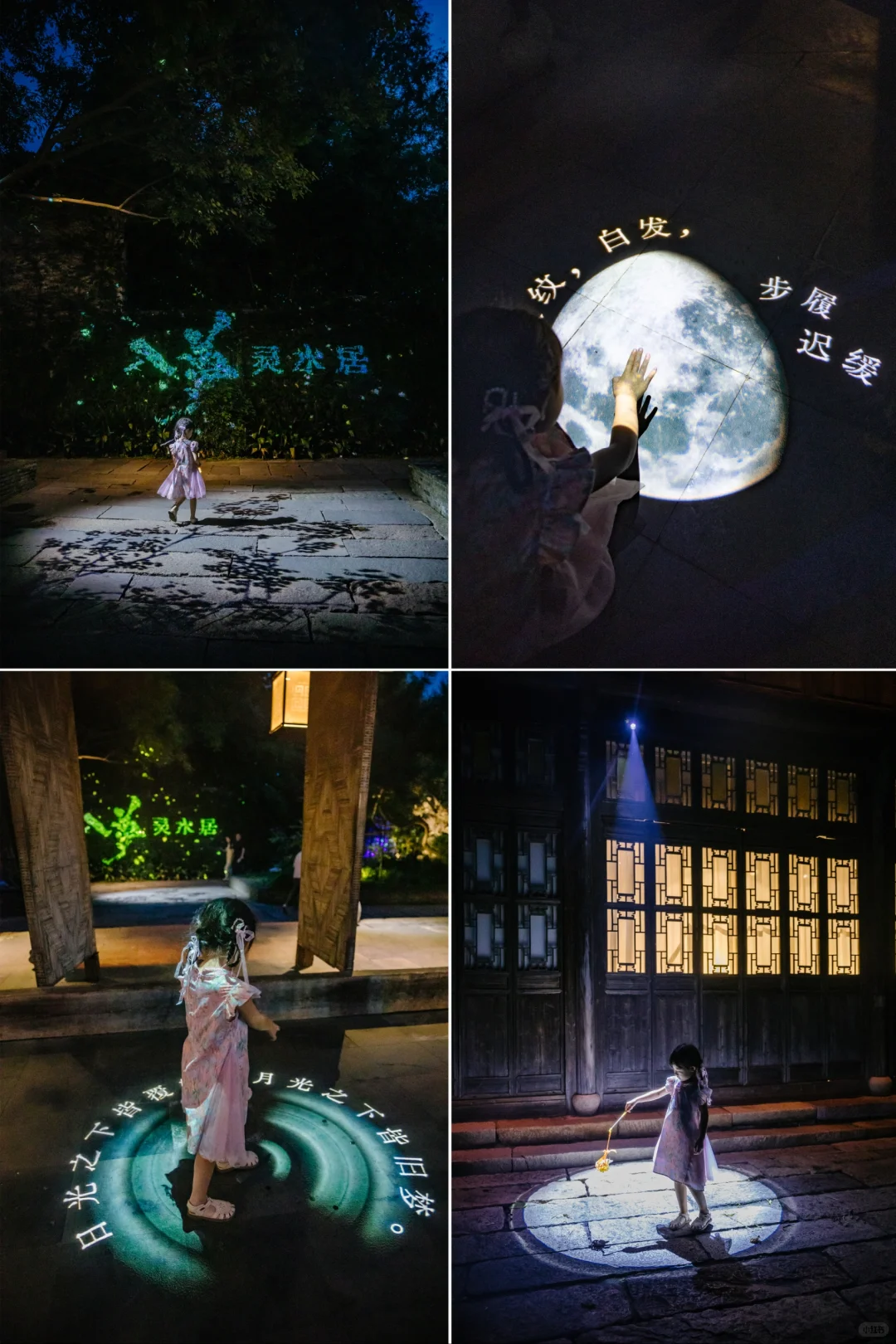 跟着《向往的生活》夜游乌镇❗照抄这条路线