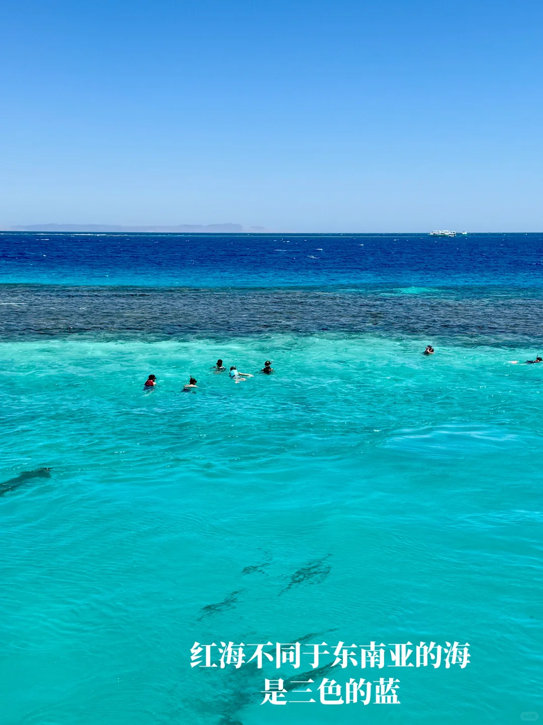 长大真好 可以在小时候课本里的埃及旅居
