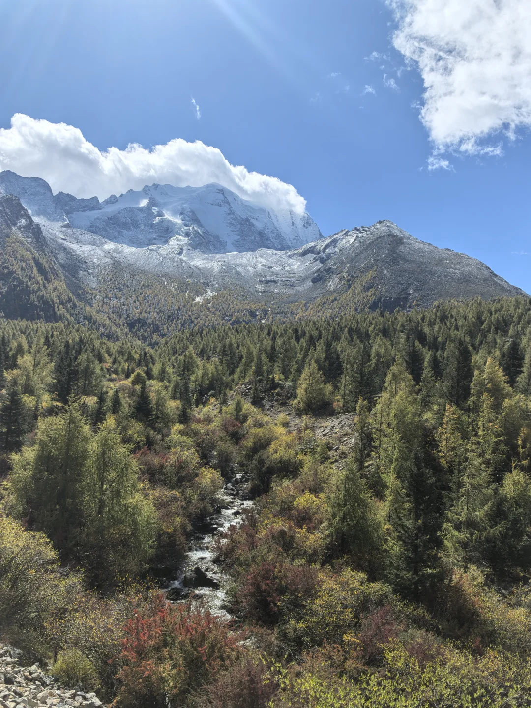 你们猜这是哪儿？