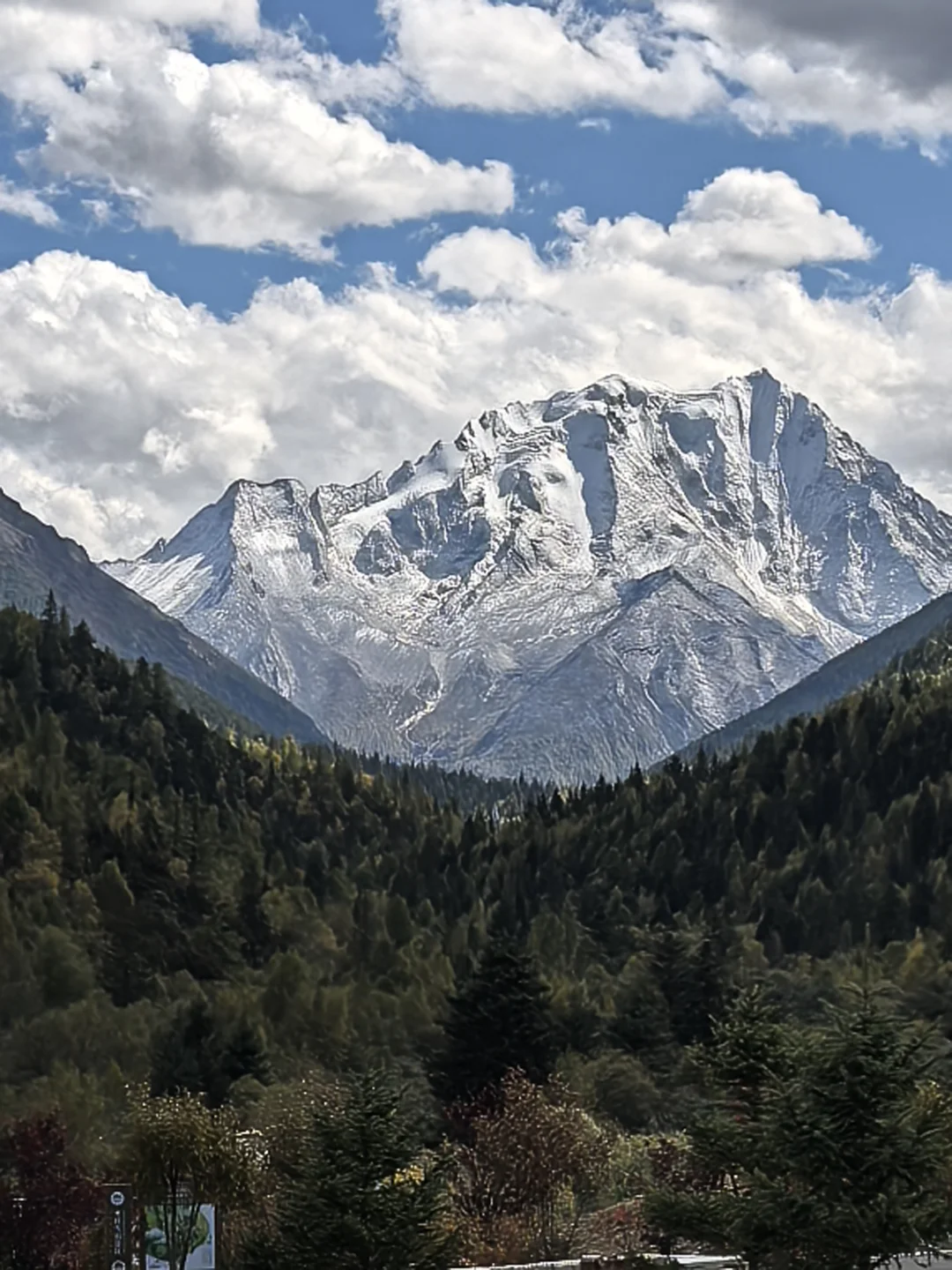 你们猜这是哪儿？