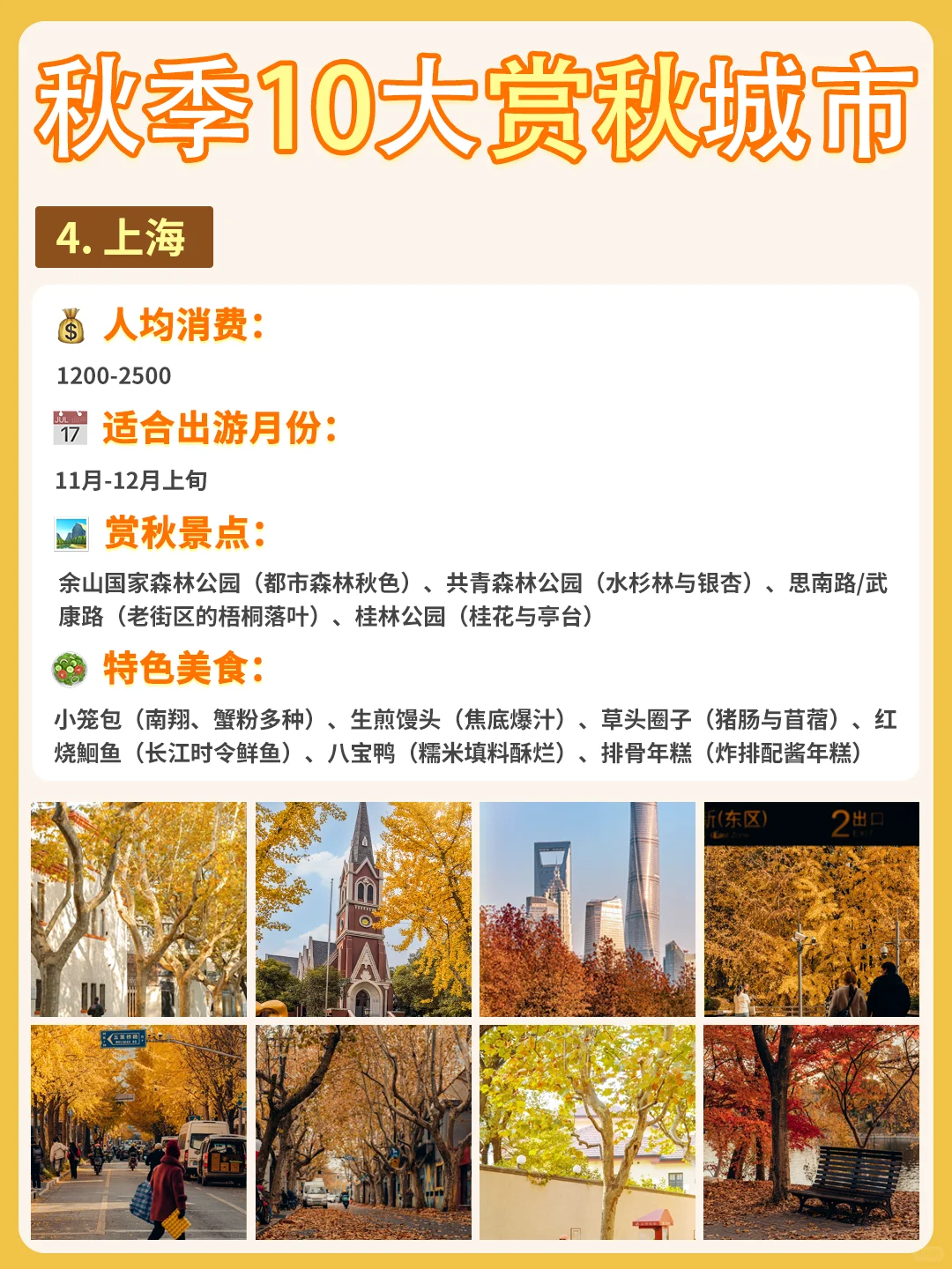 最适配江浙沪宝宝体质的赏秋城市合集来啦❗