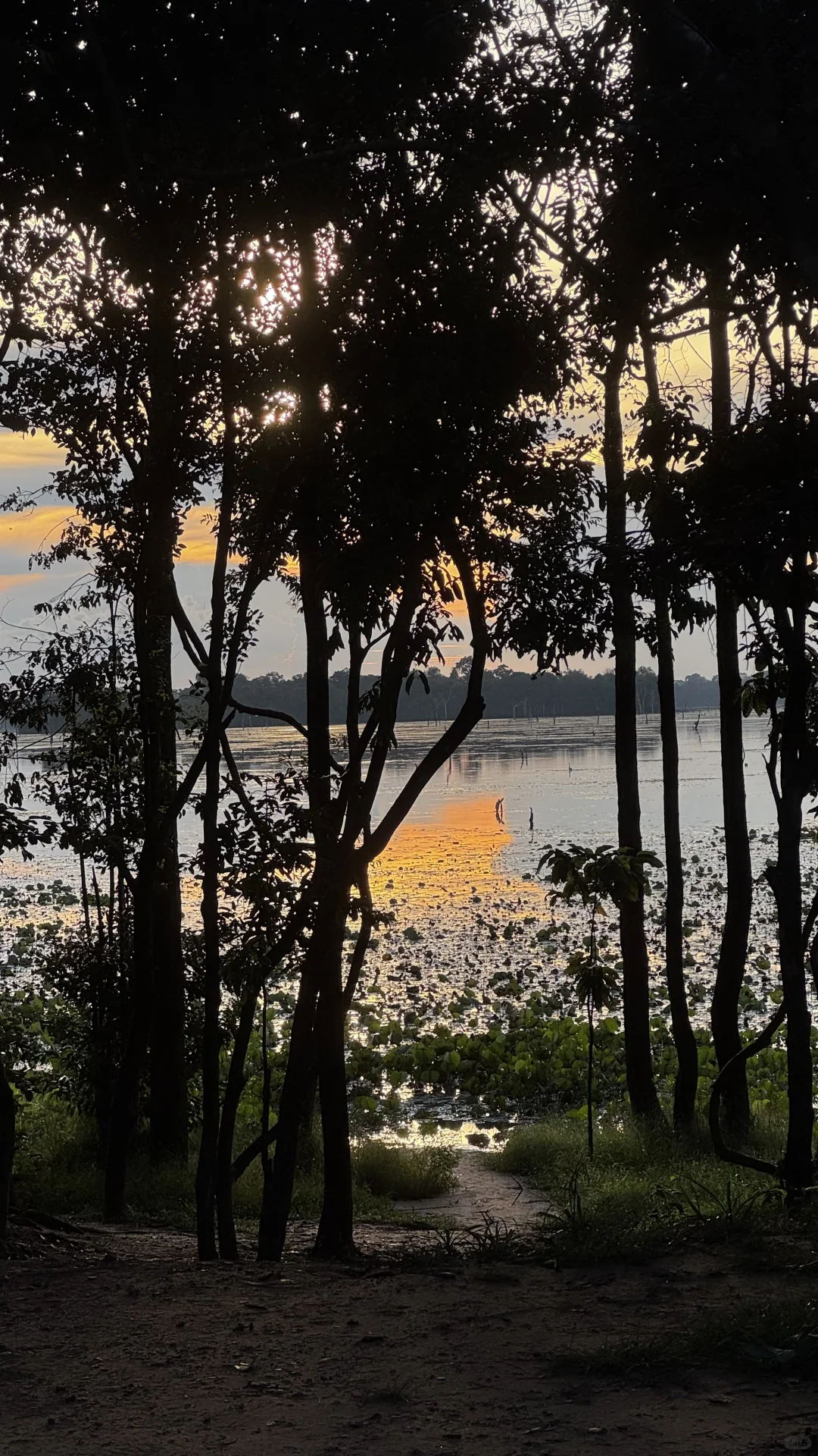 为什么没人推荐国庆来暹粒啊