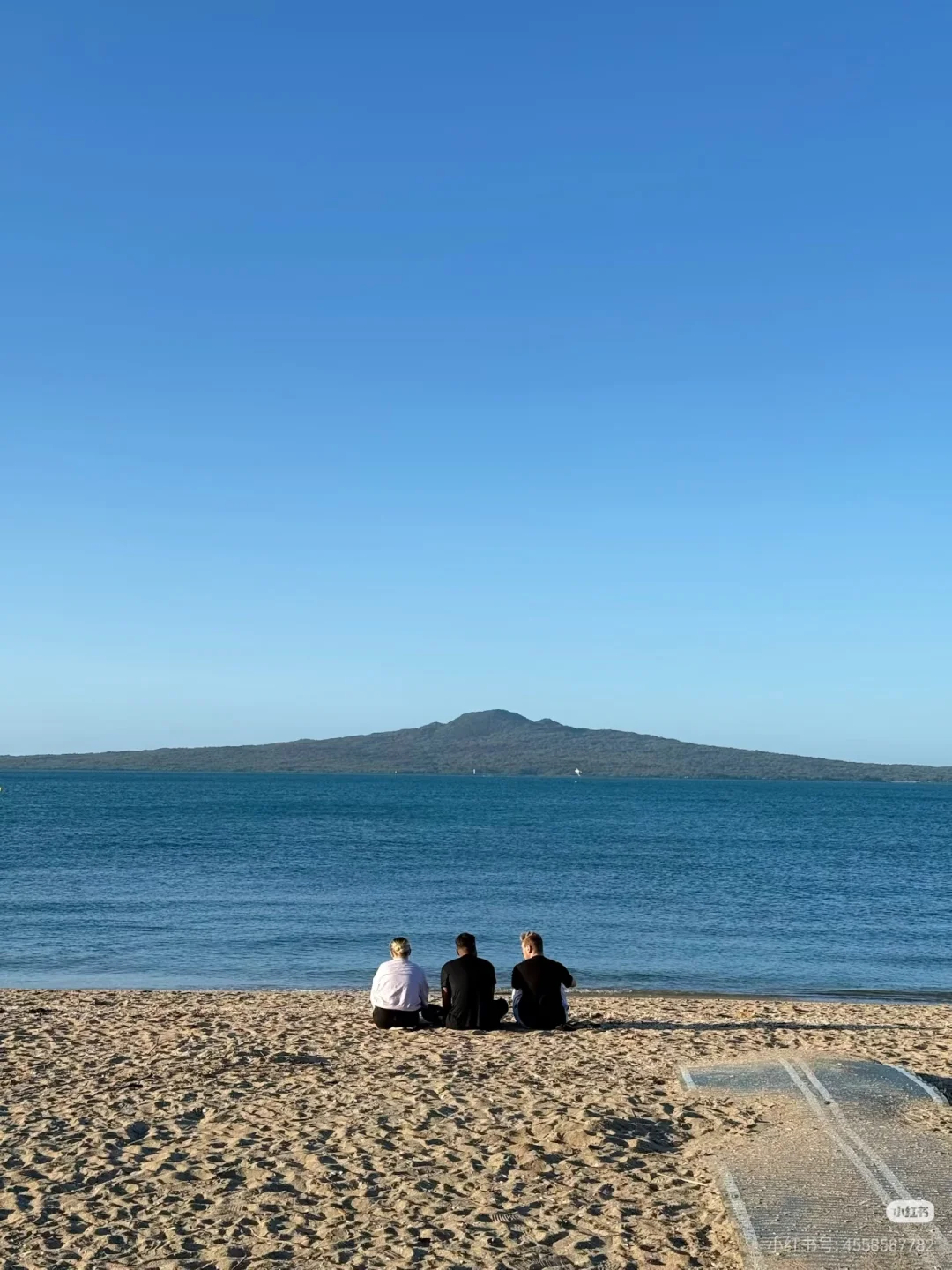 不开车也能去！奥克兰必去6大宝藏景点