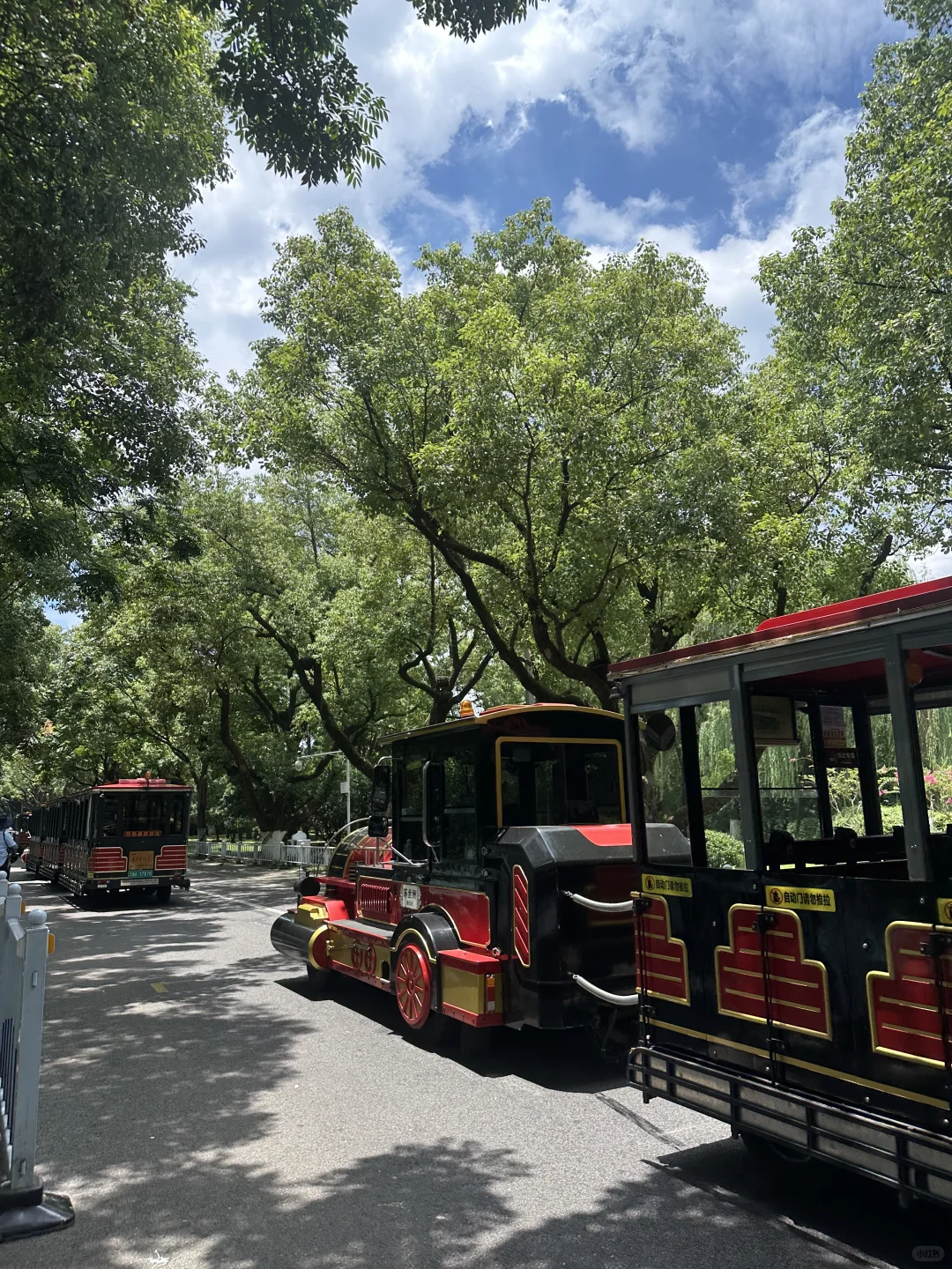 一个人旅行真的太棒了！