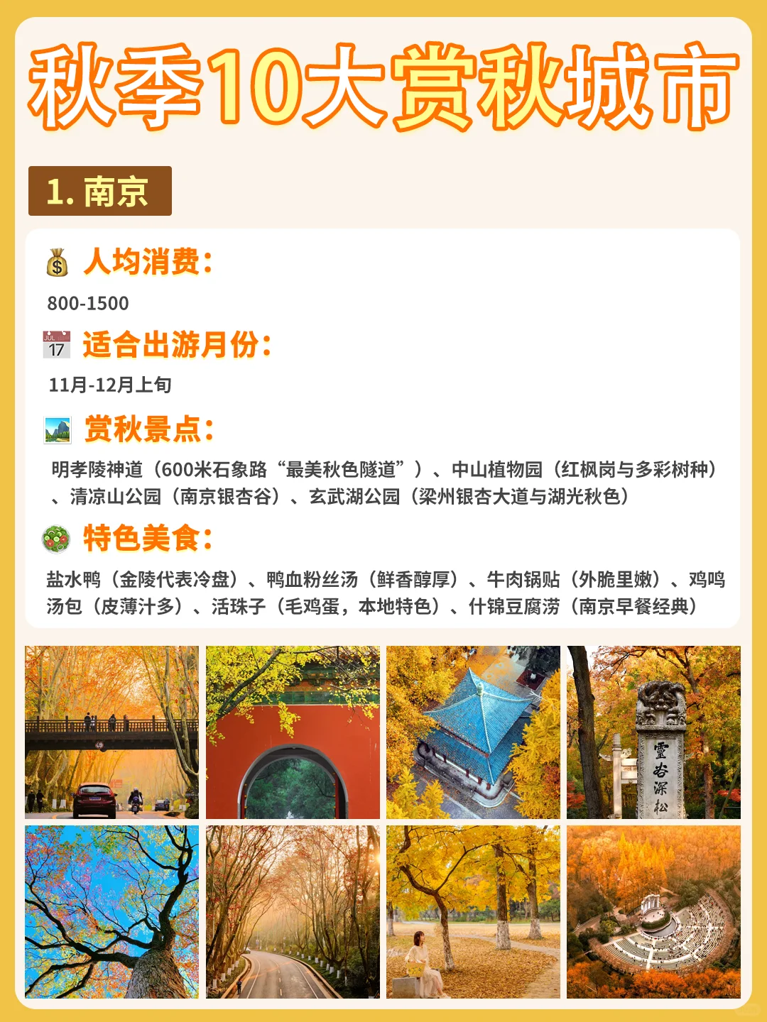 最适配江浙沪宝宝体质的赏秋城市合集来啦❗