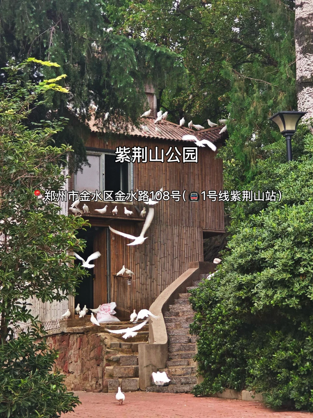 国庆来郑州，地铁直达的20个必打卡地