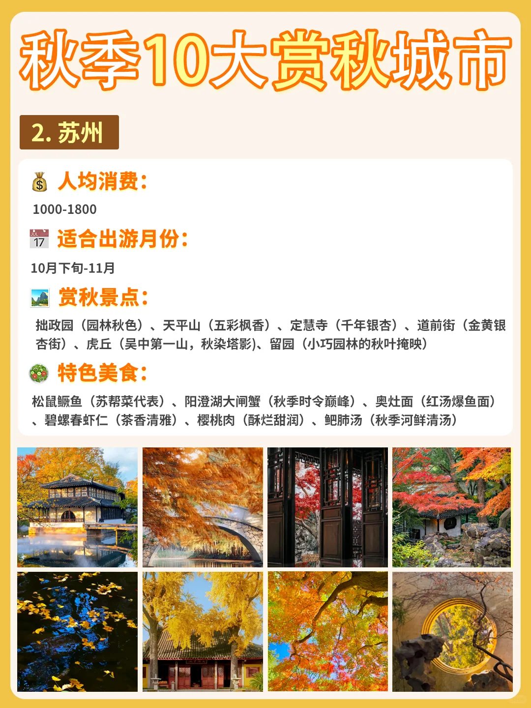 最适配江浙沪宝宝体质的赏秋城市合集来啦❗